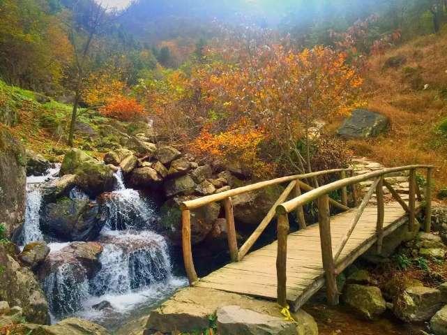 动物帮帮忙保卫家园